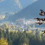 Bosco Di Museis Cercivento