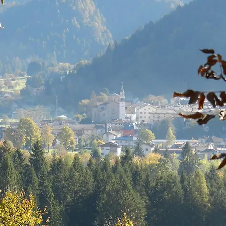 Bosco Di Museis Cercivento