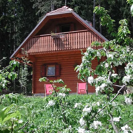 Bosco Di Museis