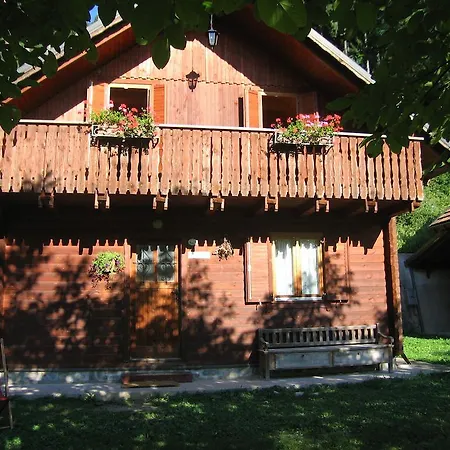Bosco Di Museis