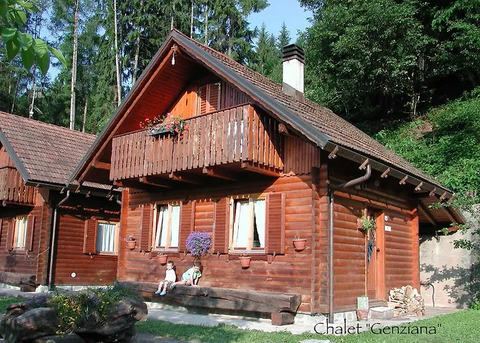 Bosco Di Museis Cercivento