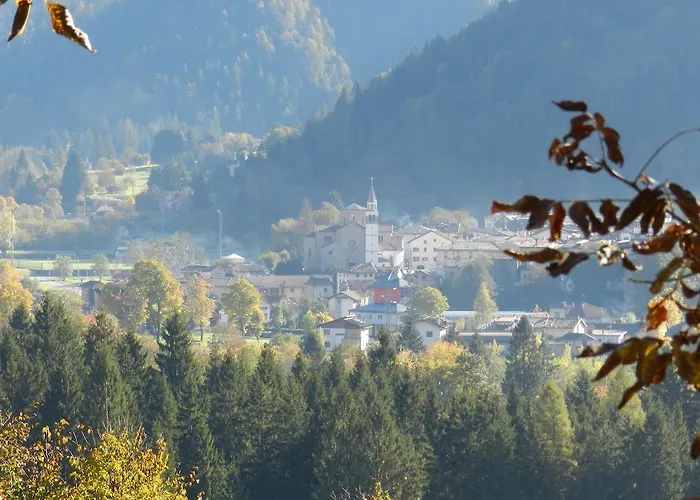 Bosco Di Museis Cercivento